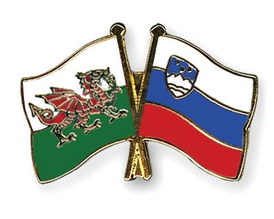 Fahnen Pins Wales Slowenien