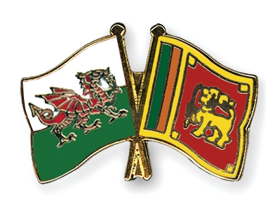 Fahnen Pins Wales Sri-Lanka