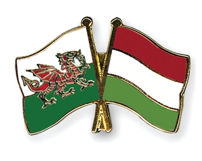 Fahnen Pins Wales Ungarn