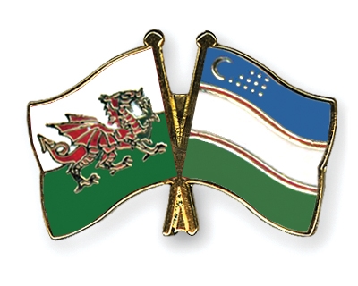 Fahnen Pins Wales Usbekistan