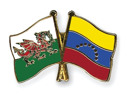 Fahnen Pins Wales Venezuela
