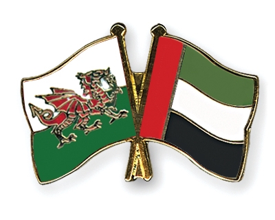 Fahnen Pins Wales Ver-Arab-Emirate