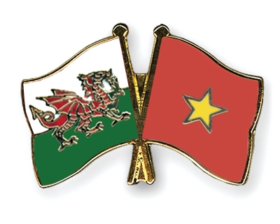 Fahnen Pins Wales Vietnam