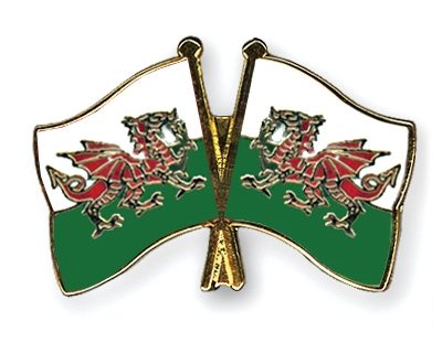 Fahnen Pins Wales Wales