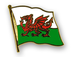 Fahnen-Pins (geschwungen): Wales