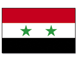 Fahnen Syrien 30 x 45