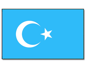 Flag East Turkestan 90 x 150