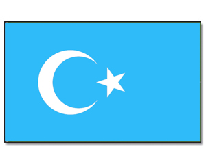 Fahne Ostturkestan 90 x 150