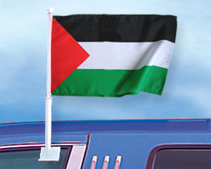 Carflag 27 x 45: Palestine