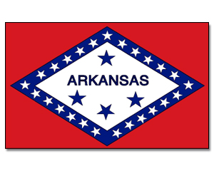 Fahne Arkansas 90 x 150