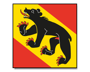 Fahne Bern 90 x 90