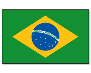 Fahne Brasilien 90 x 150