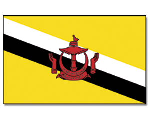 Fahne Brunei-Darussalam 90 x 150