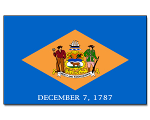 Fahne Delaware 90 x 150