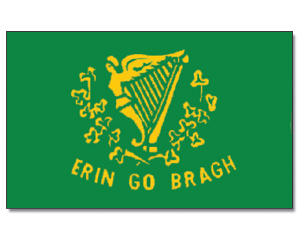 Fahne Erin Go Bragh 90 x 150