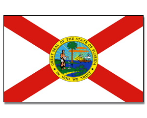 Fahne Florida 90 x 150