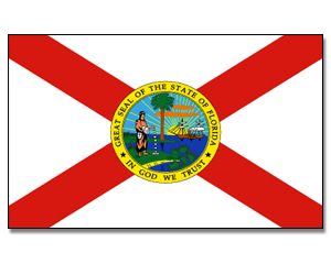 Flag Florida 90 x 150