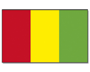 Fahne Guinea 90 x 150