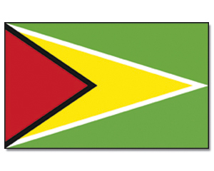 Fahne Guyana 90 x 150