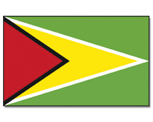 Flag Guyana 90 x 150