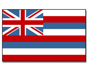 Fahne Hawaii 90 x 150