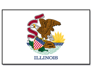 Fahne Illinois 90 x 150