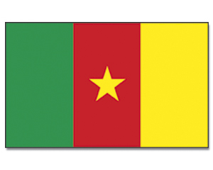 Flag Cameroon 90 x 150