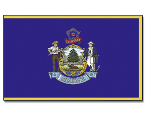 Fahne Maine 90 x 150