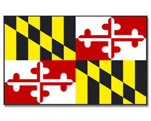 Fahne Maryland 90 x 150