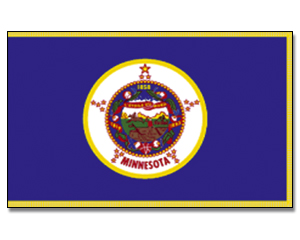 Fahne Minnesota 90 x 150
