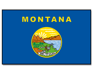 Flag Montana 90 x 150