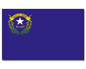 Fahne Nevada 90 x 150