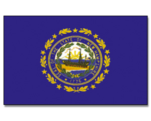 Flag New Hampshire 90 x 150