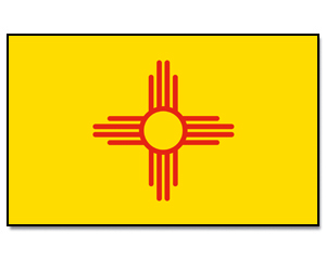 Fahne New Mexico 90 x 150