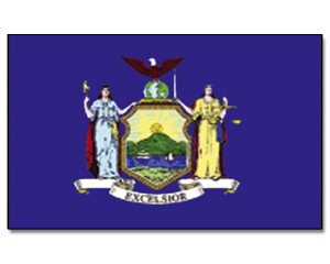 Flag New York State 90 x 150