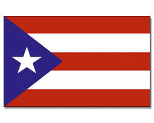 Flag Puerto Rico 90 x 150