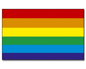 Fahne Regenbogen 90 x 150