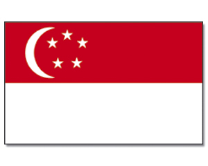 Fahne Singapur 90 x 150