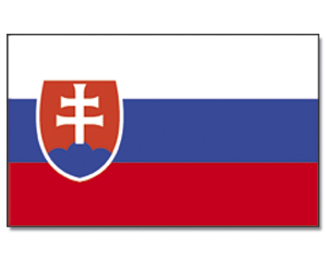 Flag Slovakia 90 x 150