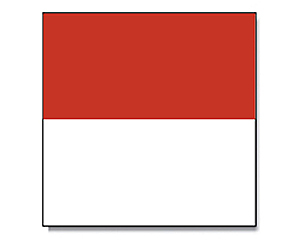 Flag Solothurn 120 x 120