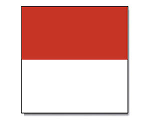 Flag Solothurn 150 x 150