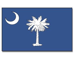 Fahne South Carolina 90 x 150
