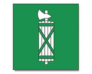 Flag St. Gallen 120 x 120