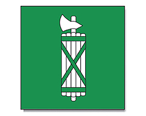 Flagge Atomkraft Nein Danke grün 90 x 150 cm Fahne 