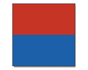 Flag Ticino 120 x 120