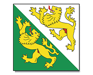 Flag Thurgau 120 x 120