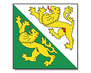 Flag Thurgau 90 x 90