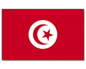 Fahne Tunesien 90 x 150