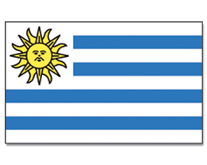 Flag Uruguay 90 x 150