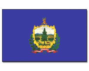 Flag Vermont 90 x 150